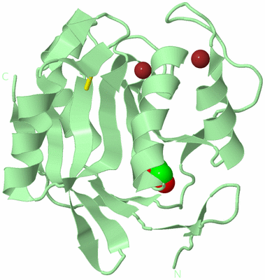 Image Biological Unit 2