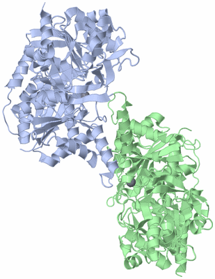 Image Biological Unit 1