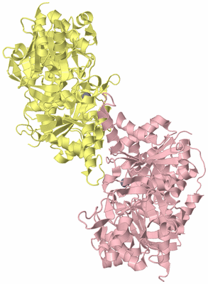 Image Biological Unit 3