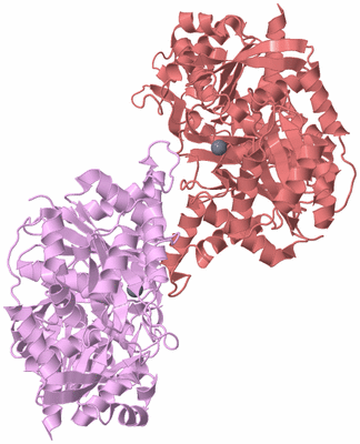 Image Biological Unit 4