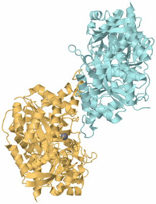 Image Biological Unit 5