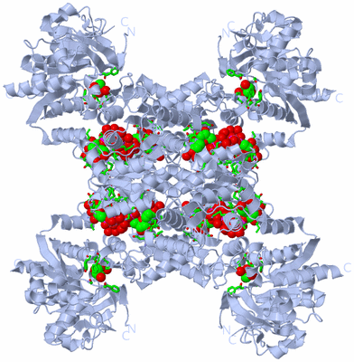 Image Biol. Unit 1 - sites