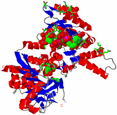 Image Asym. Unit - sites