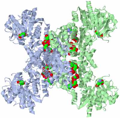 Image Biological Unit 1