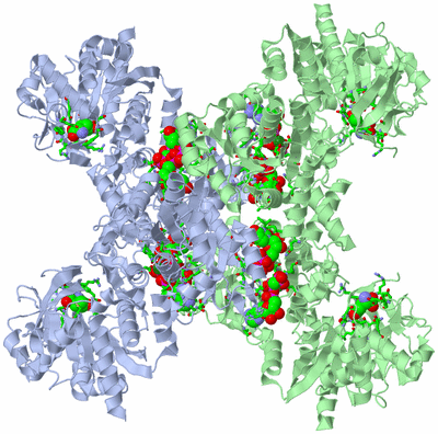 Image Biol. Unit 1 - sites