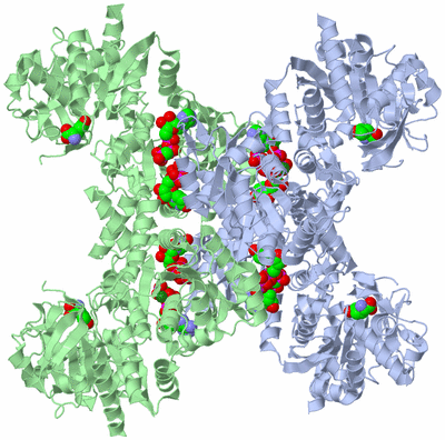 Image Biological Unit 2