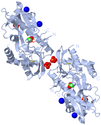 Image Biological Unit 1