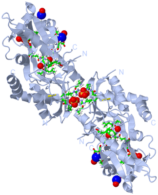 Image Biol. Unit 1 - sites