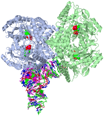 Image Biological Unit 1