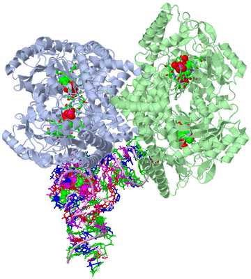 Image Biol. Unit 1 - sites