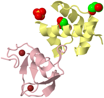 Image Biological Unit 2