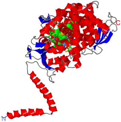 Image Asym./Biol. Unit - sites