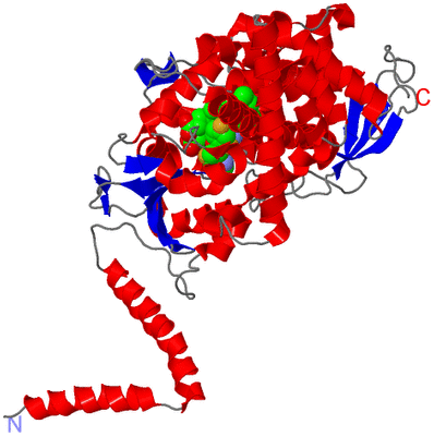 Image Asym./Biol. Unit