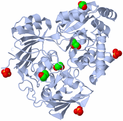 Image Biological Unit 1