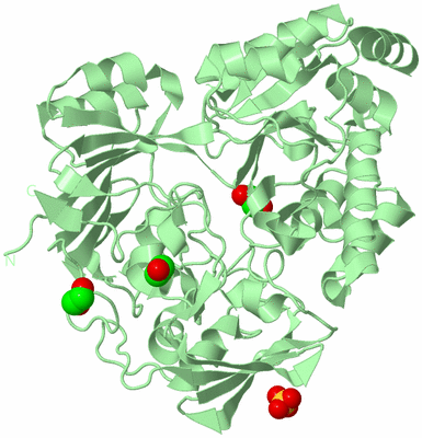 Image Biological Unit 2