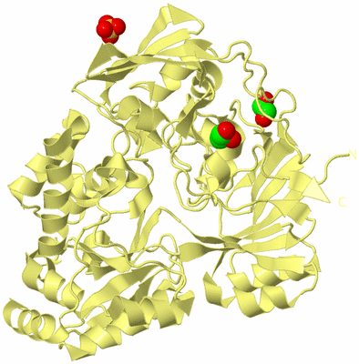 Image Biological Unit 4