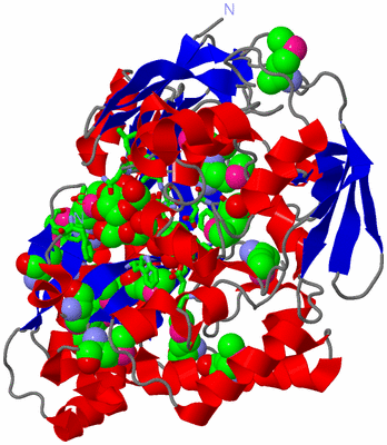 Image Asym./Biol. Unit - sites