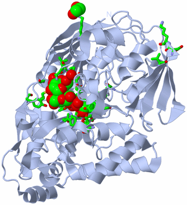 Image Biol. Unit 1 - sites