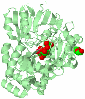 Image Biological Unit 2