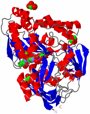 Image Asym./Biol. Unit