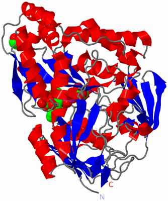 Image Asym./Biol. Unit