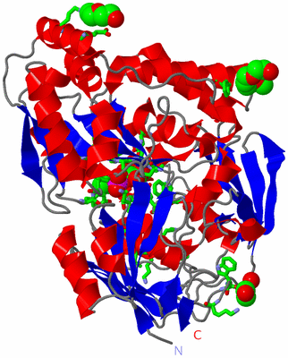 Image Asym./Biol. Unit - sites