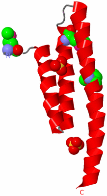 Image Asymmetric Unit