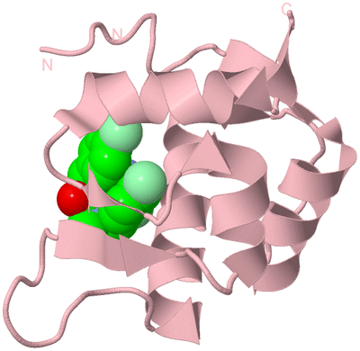 Image Biological Unit 3