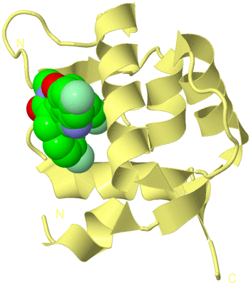 Image Biological Unit 4