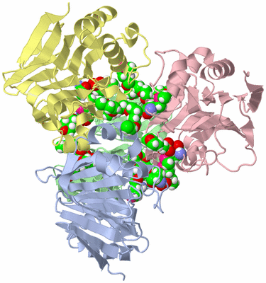 Image Biological Unit 1