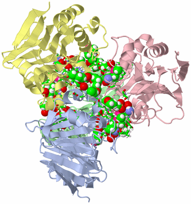 Image Biol. Unit 1 - sites