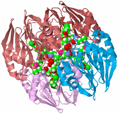 Image Biological Unit 2