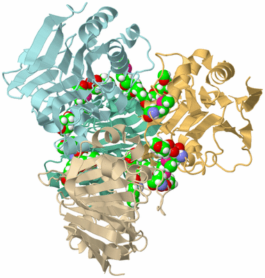 Image Biological Unit 3