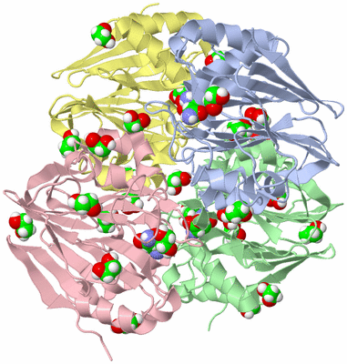 Image Asym./Biol. Unit