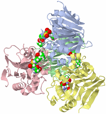 Image Biological Unit 1