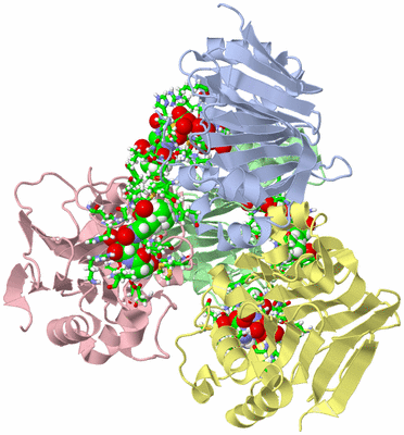 Image Biol. Unit 1 - sites