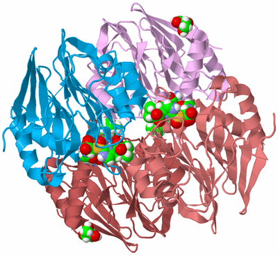 Image Biological Unit 2