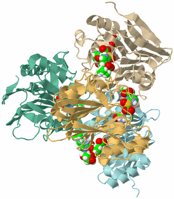 Image Biological Unit 3