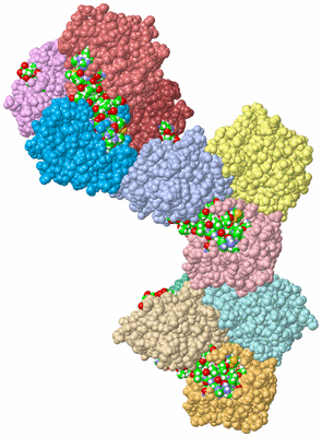 Image Asym. Unit - sites