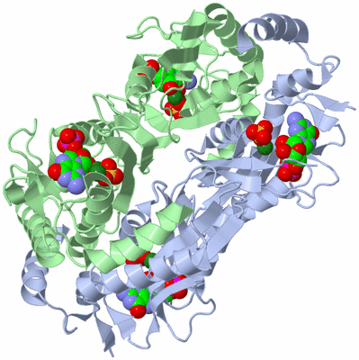 Image Biological Unit 1