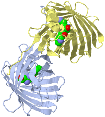 Image Biological Unit 1