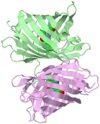 Image Biological Unit 2