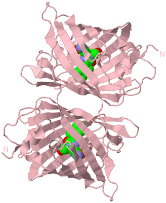 Image Biological Unit 3