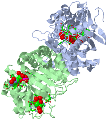 Image Asym./Biol. Unit - sites