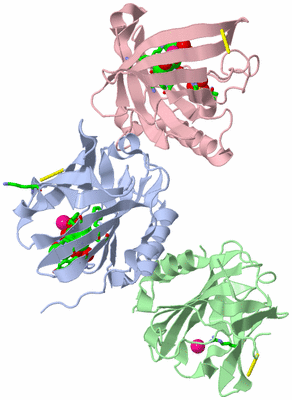 Image Asym./Biol. Unit - sites