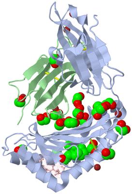 Image Biological Unit 1