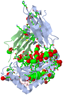 Image Biol. Unit 1 - sites