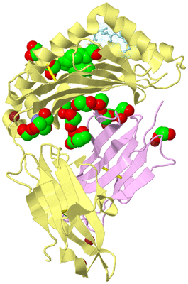 Image Biological Unit 2