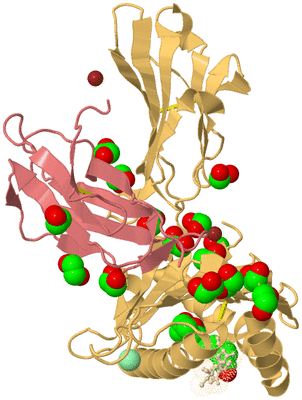 Image Biological Unit 3