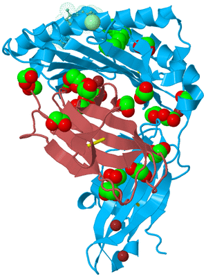 Image Biological Unit 4